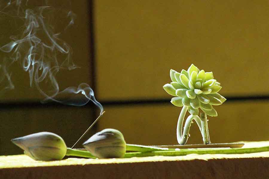 靈鷲山大悲咒心道法師法語